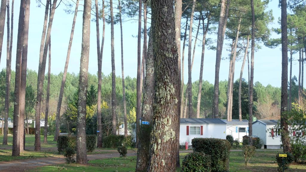 Camping Officiel Siblu Les Dunes De Contis Hotel Saint-Julien-en-Born Buitenkant foto